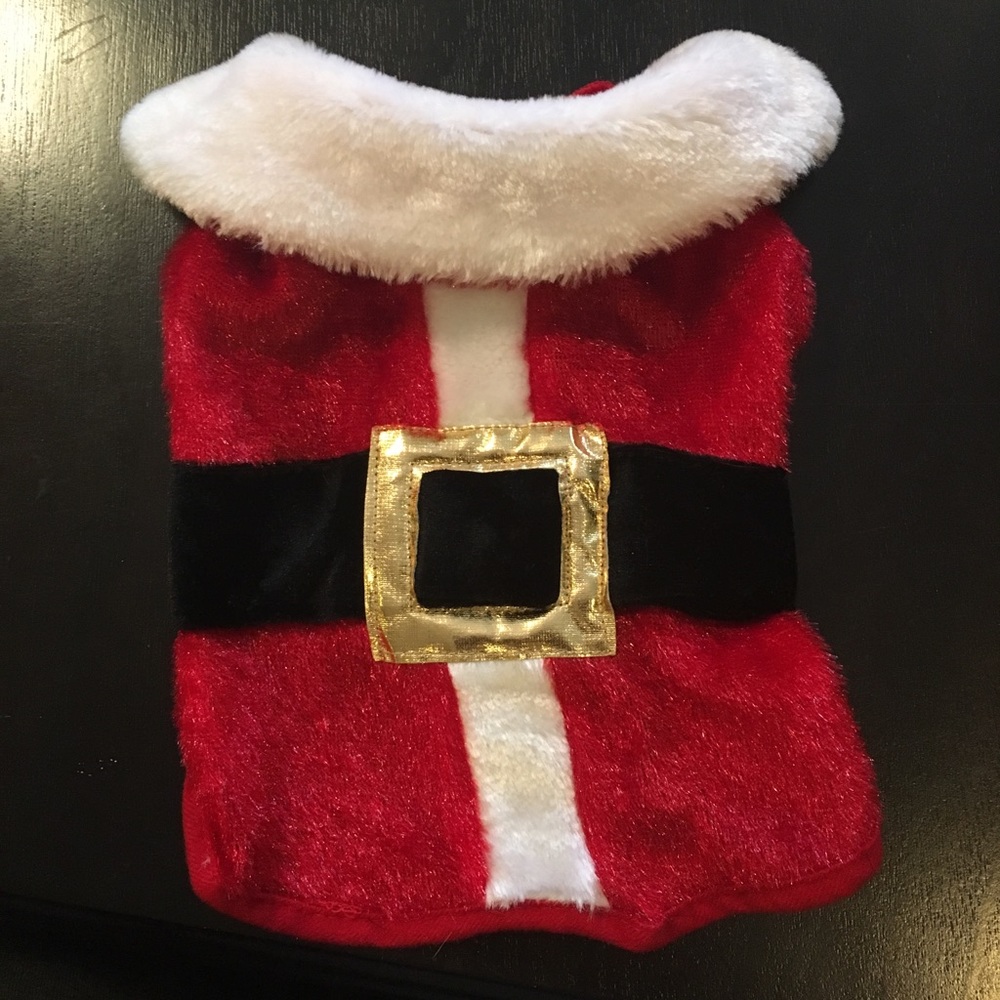 Small dogs Santa shirt